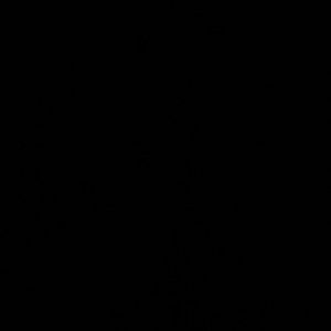 Meet your Posher, Tyreenne